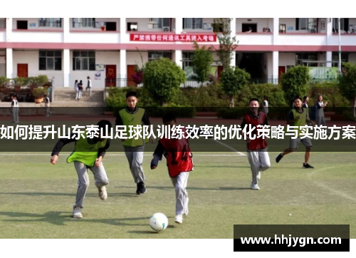 如何提升山东泰山足球队训练效率的优化策略与实施方案